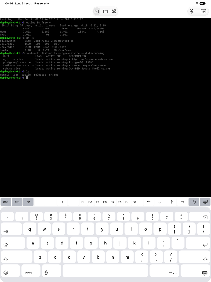 An SSH session on iPad, with the accessory bar above the keyboard